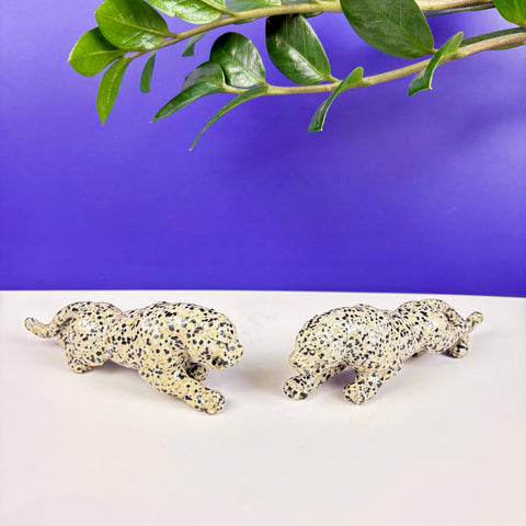 Dalmatian Jasper Leopard - Kenna's Crystals