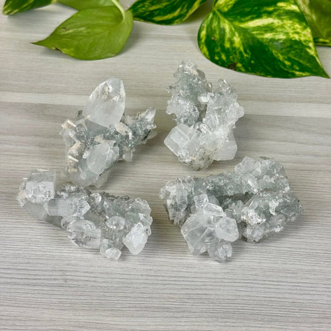 Diamond Apophyllite 99 9 - Kenna's Crystals from TikTok