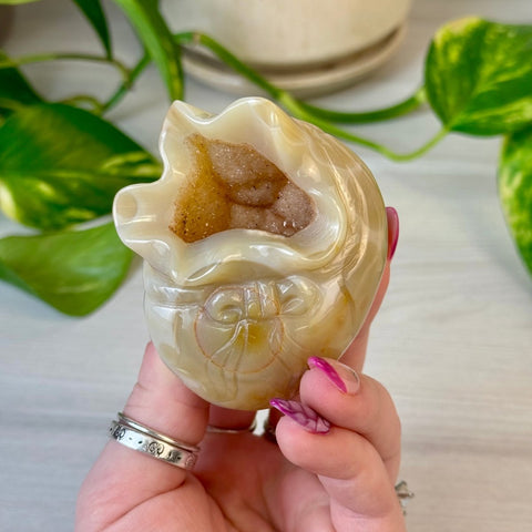 Druzy Agate Money Bag 122 1 - Kenna's Crystals from TikTok