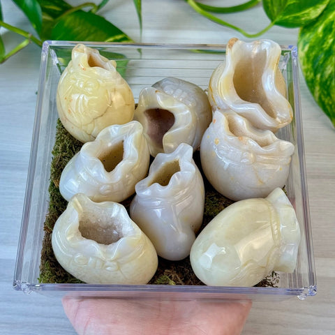 Druzy Agate Money Bag 77 6 - Kenna's Crystals from TikTok