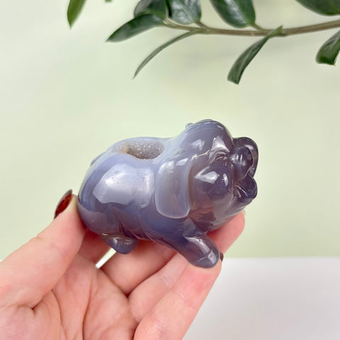 Druzy Agate Playful Piggy - Kenna's Crystals