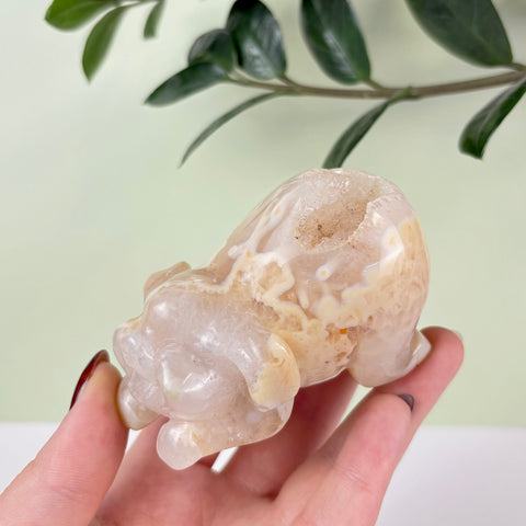 Druzy Agate Playful Piggy - Kenna's Crystals