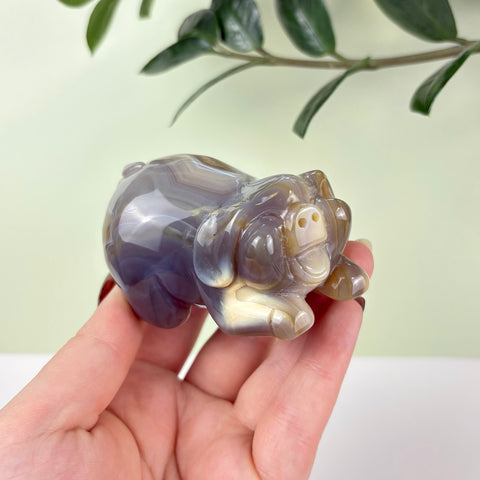 Druzy Agate Playful Piggy - Kenna's Crystals