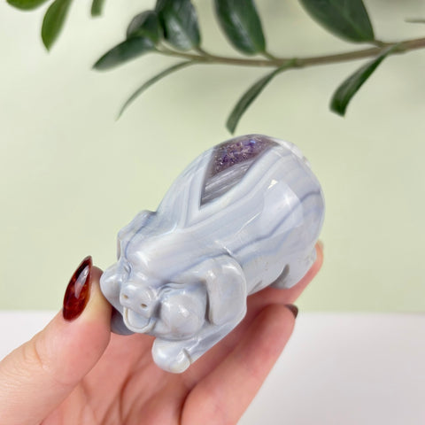 Druzy Agate Playful Piggy - Kenna's Crystals