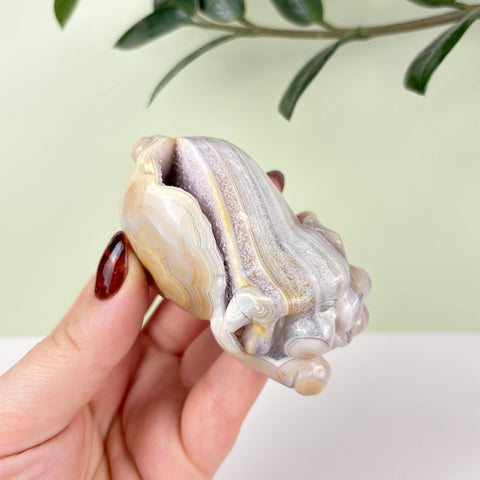 Druzy Agate Playful Piggy - Kenna's Crystals