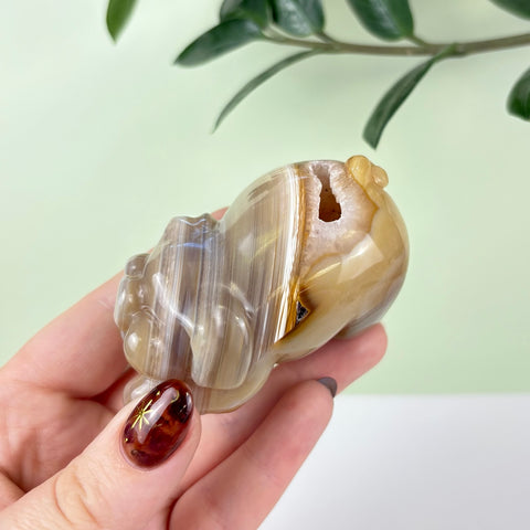 Druzy Agate Playful Piggy - Kenna's Crystals