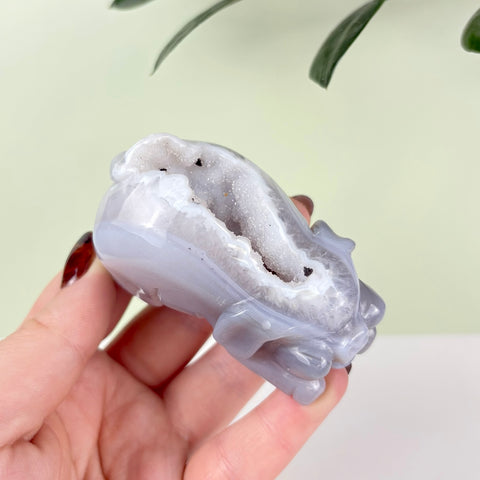 Druzy Agate Playful Piggy - Kenna's Crystals