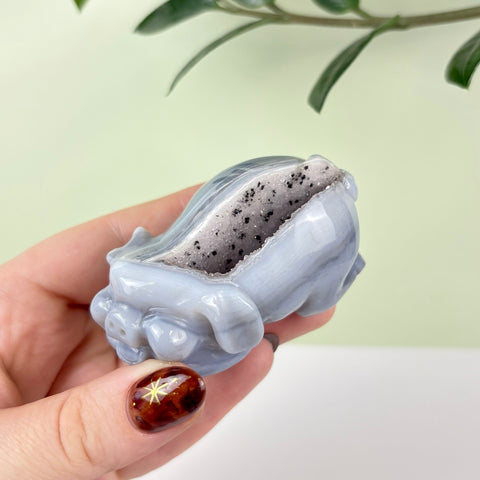 Druzy Agate Playful Piggy - Kenna's Crystals