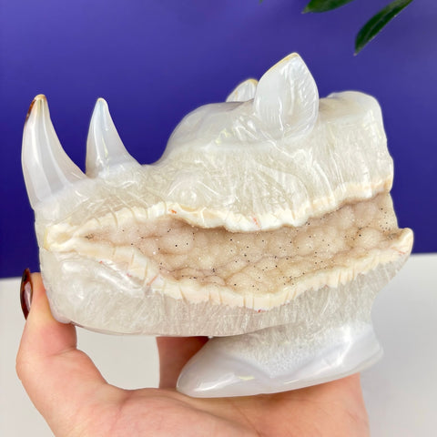Druzy Agate Rhino - Kenna's Crystals