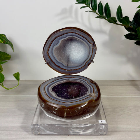 Druzy mermaid box featuring a polished brown agate geode with a sparkling purple amethyst crystal interior on a clear stand.