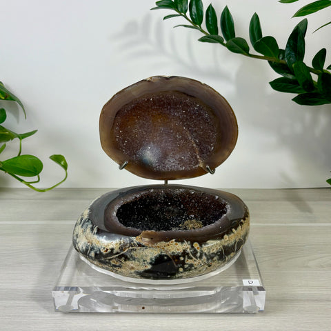 Druzy mermaid box made from a polished brown and cream agate geode with a sparkling dark crystal interior on a clear stand.