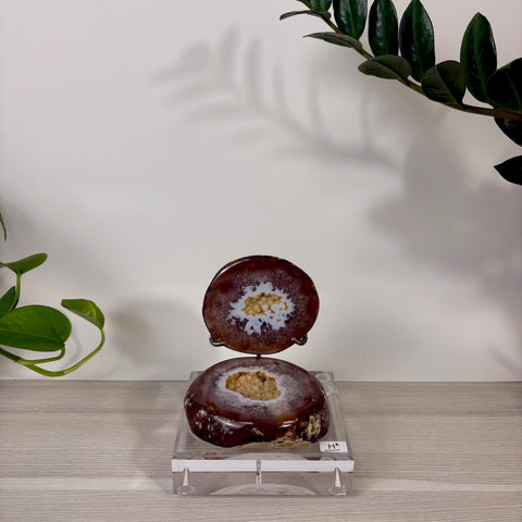Druzy Mermaid Box - Kenna's Crystals