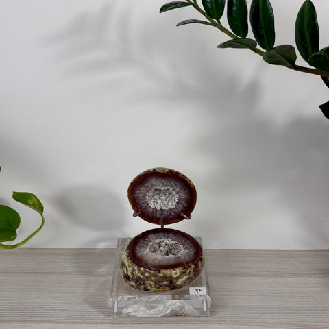 Open Druzy Mermaid Box with brown agate exterior and sparkling crystal center on a clear acrylic stand.