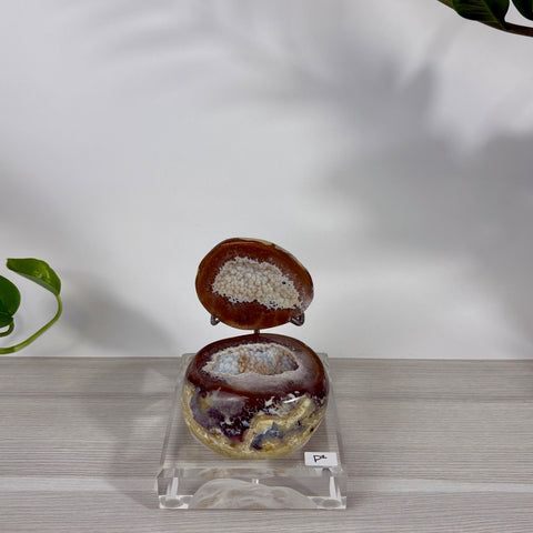 Druzy mermaid box made from a polished brown and cream agate geode with a sparkling crystal interior on a clear stand.