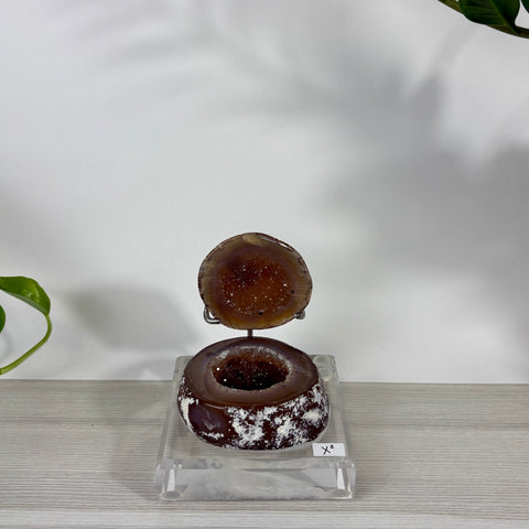 Brown agate druzy mermaid box with a sparkling crystal interior, displayed on a clear acrylic stand labeled X2.