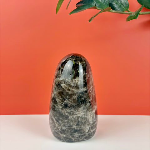 Polished smoky quartz free form crystal with dark, marbled inclusions against a vibrant orange background.