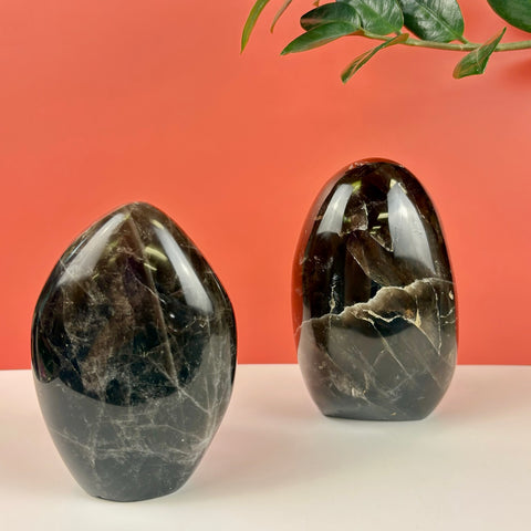 Two polished, dark smoky quartz free-form crystals with natural white veining on a white surface against a coral background.