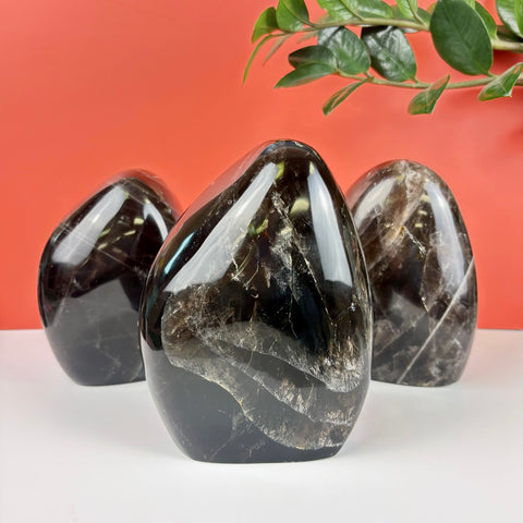 Three polished, dark brown irradiated smoky quartz free-form crystals displayed on a white surface against a red background.