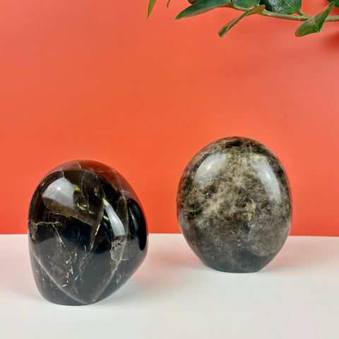 Two polished, free-form smoky quartz crystals with dark, translucent mineral inclusions on a white surface.