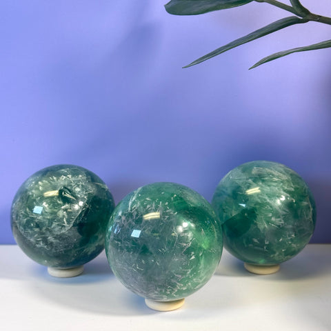 Three polished green Feather Fluorite spheres with white inclusions on stands.
