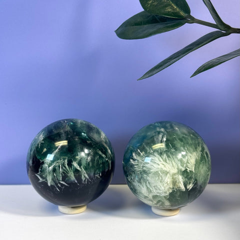 Two unique Feather Fluorite Spheres, one darker green with white feathering, the other lighter green.