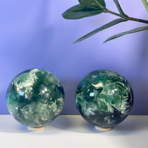 Two green Feather Fluorite spheres with white inclusions, displayed on a white surface with a purple background and plant.