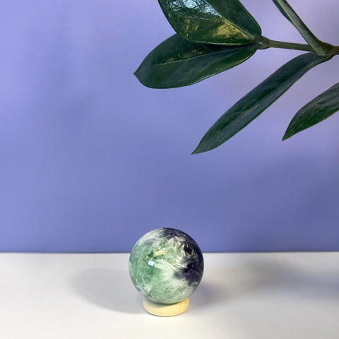 Small, polished Feather Fluorite Sphere with green and purple hues on a light stand, against a purple background with a green plant leaf.