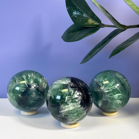 Three green Feather Fluorite spheres with white inclusions on light stands, against a purple wall with a plant.