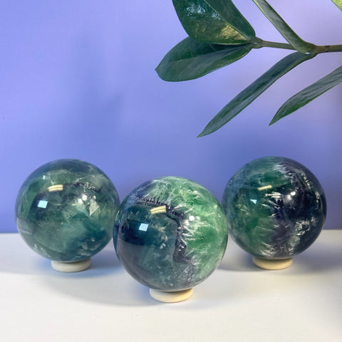 Three polished Feather Fluorite spheres, displaying vibrant green and purple hues, on light stands.