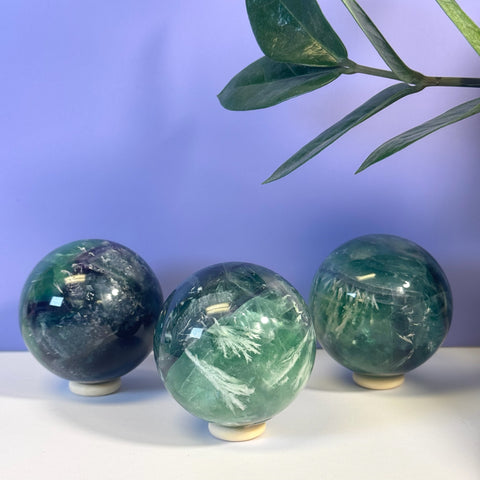 Three unique Feather Fluorite spheres, varying in shades of green and purple, on white stands.