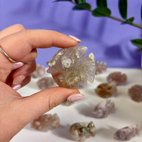 Flower Agate Fish - Kenna's Crystals