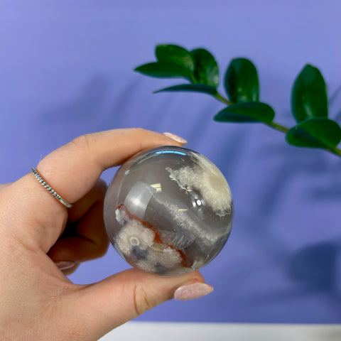 Polished flower agate sphere with grey tones and white floral inclusions held in a hand against a purple background.