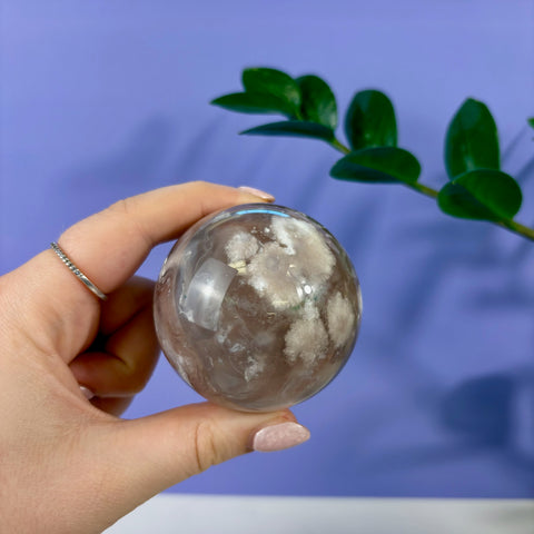 Polished flower agate sphere with white floral inclusions held in a hand against a purple background.