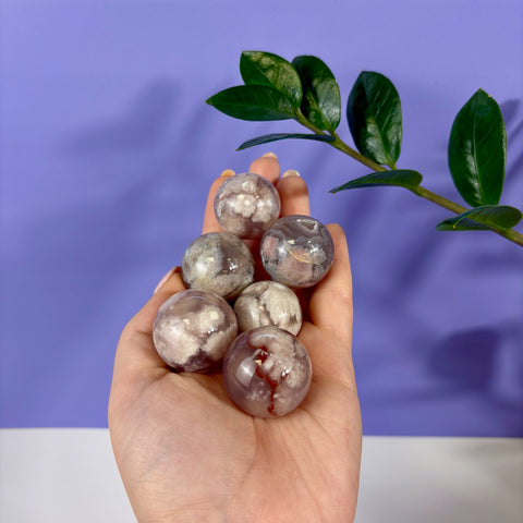 Hand holding six small, polished flower agate spheres with white floral inclusions against a purple background.