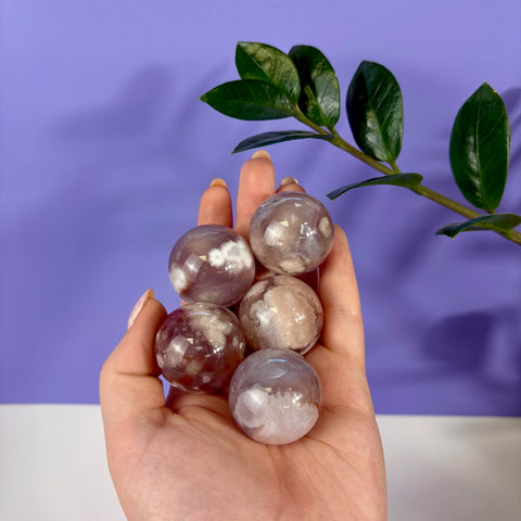 Hand holding five polished flower agate spheres with translucent purple tones and white floral inclusions.
