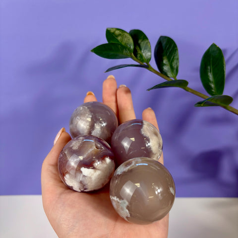 Hand holding four polished, translucent lavender flower agate spheres with white floral inclusions against a purple background.
