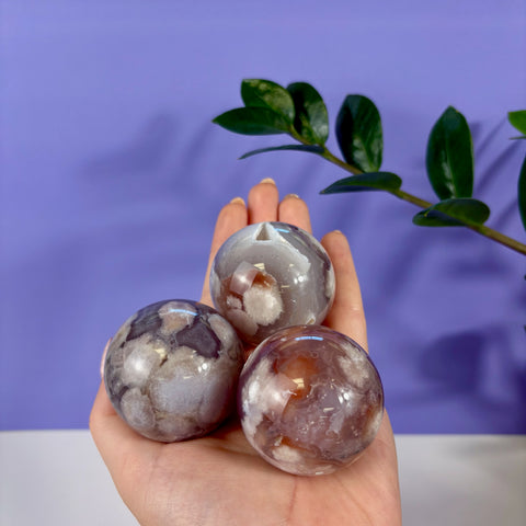 Three polished flower agate spheres with white floral inclusions held in a hand against a purple background.