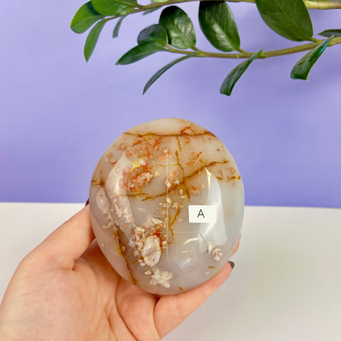 Polished druzy agate turtle shell with tan, white, and red crystalline inclusions held in a hand.