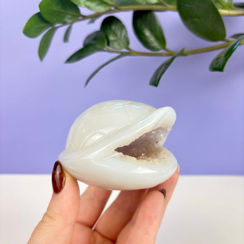Hand-carved white druzy agate turtle shell with a sparkling crystal geode center held in a hand.