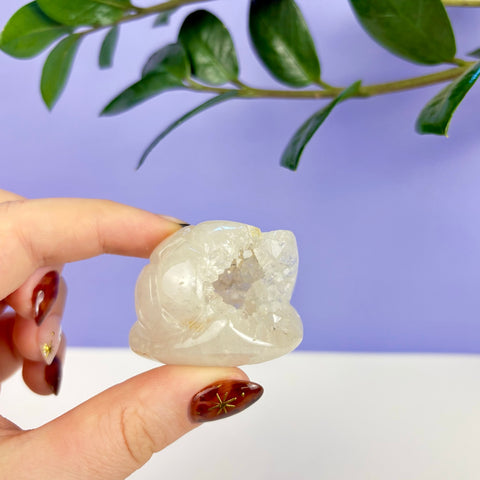 Hand holding a small, clear druzy agate carved into a detailed flying turtle shell shape.
