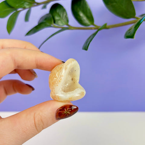 Small, polished druzy agate turtle shell carving with a sparkling crystal-lined center held between fingers.
