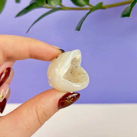 Small white druzy agate turtle shell carving held between fingers against a purple background.