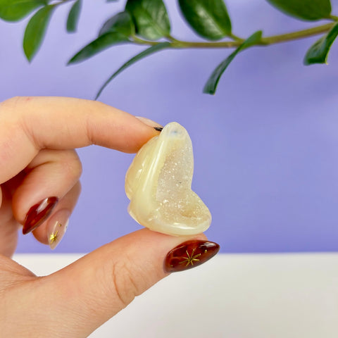 Small, cream-colored druzy agate carved into a flying turtle shell shape held between fingers.