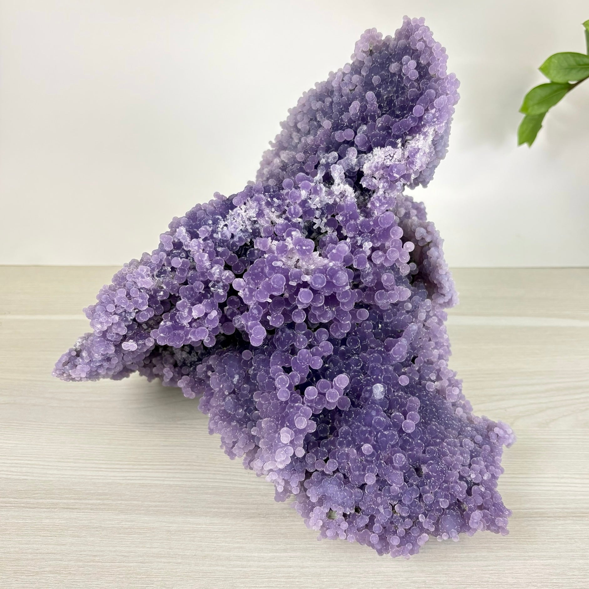 Forbidden Nerds - Grape Agate – Kenna's Crystals