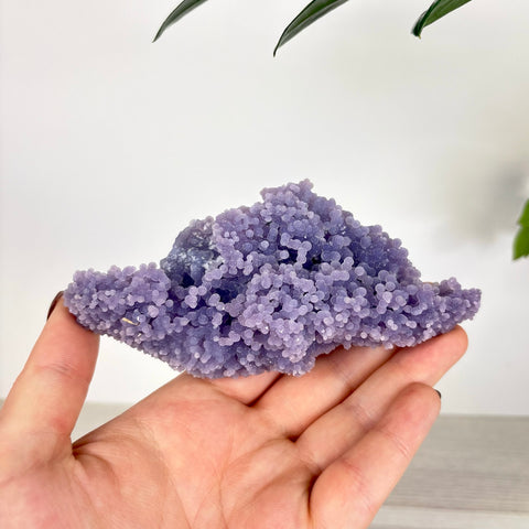 Hand holding a cluster of vibrant purple grape agate with small, spherical botryoidal crystal formations.