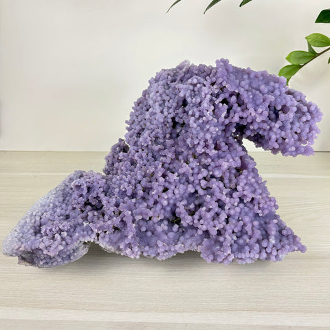 Large, vibrant purple grape agate cluster with a unique, bubbly botryoidal crystal texture on a light wooden surface.