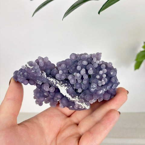 Hand held cluster of deep purple grape agate with botryoidal crystal formations and a white mineral vein.