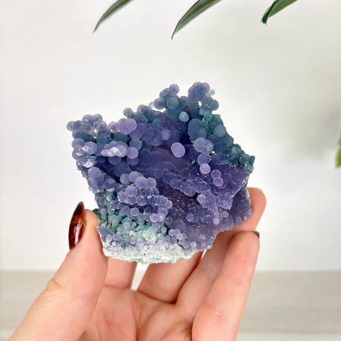Hand holding a cluster of deep purple and teal grape agate with botryoidal, spherical crystal formations.