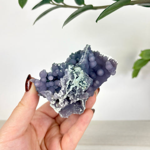 Hand holding a cluster of deep purple grape agate with spherical botryoidal formations and light green mineral accents.