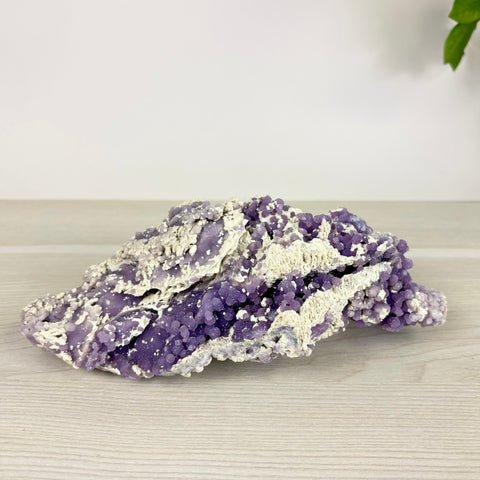Raw grape agate cluster featuring vibrant purple botryoidal crystals on a textured white matrix stone base.